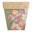 Sow 'n Sow Gift of Seeds birthday Wishes Australian Native seeds