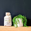 That Red House Organic Soapberries with a weight indication of 250g and additional eco-friendly branding.