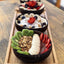 four plastic free coconut bowls filled with food