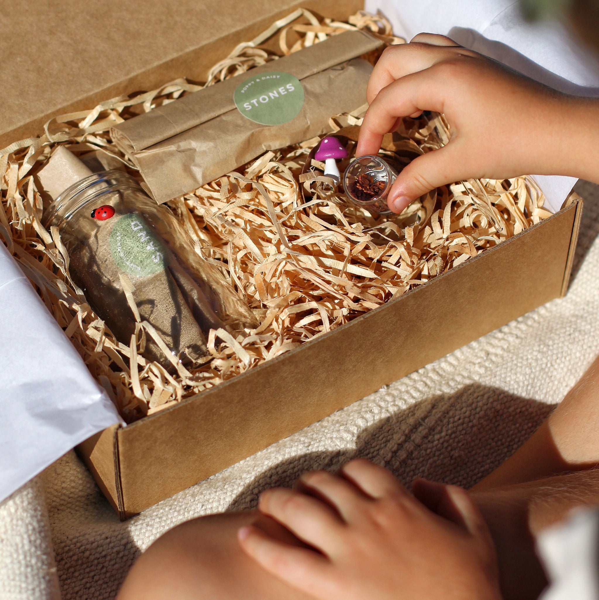 Poppy and daisy mini fairy garden kit box open showing contents with girls hands holding bottle of seeds