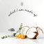 Non toxic hand wash ingredients coconut lavender citrus and eucalyptus eco friendly low tox cleaning