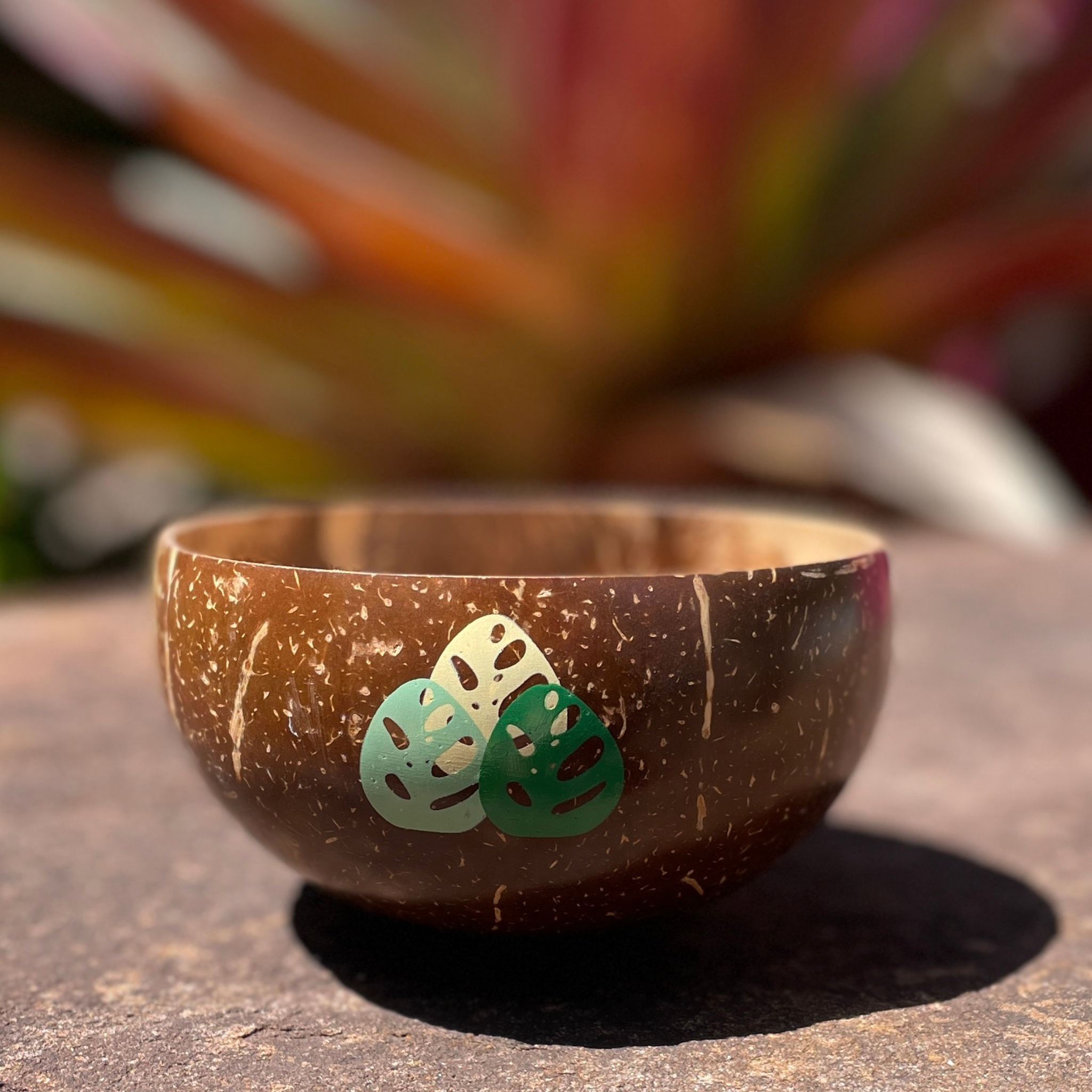 sustainable coconut bowl painted leaves