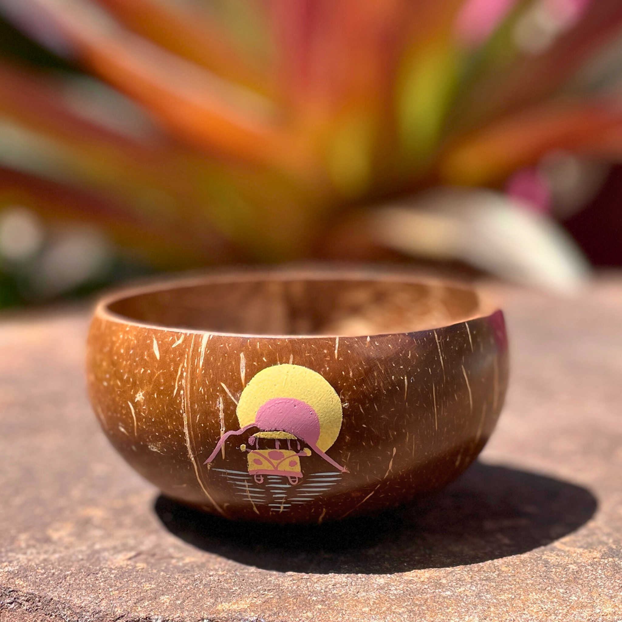 sustainable coconut bowl with painted combi and sun front