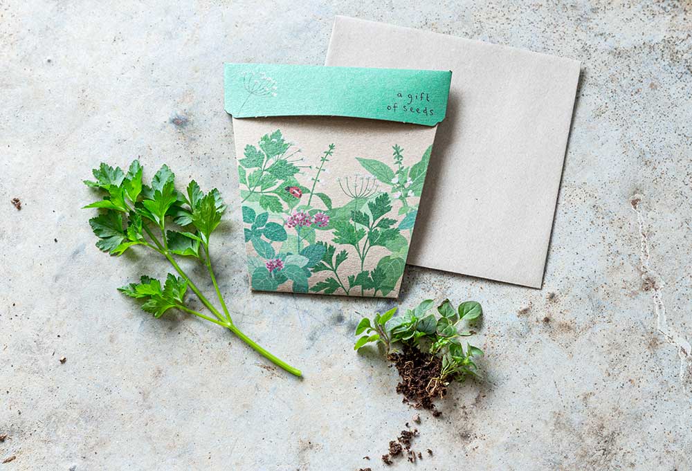 sow n sow gift of seeds garden herbs basil parsley oregano showing front of card with envelope and real herbs