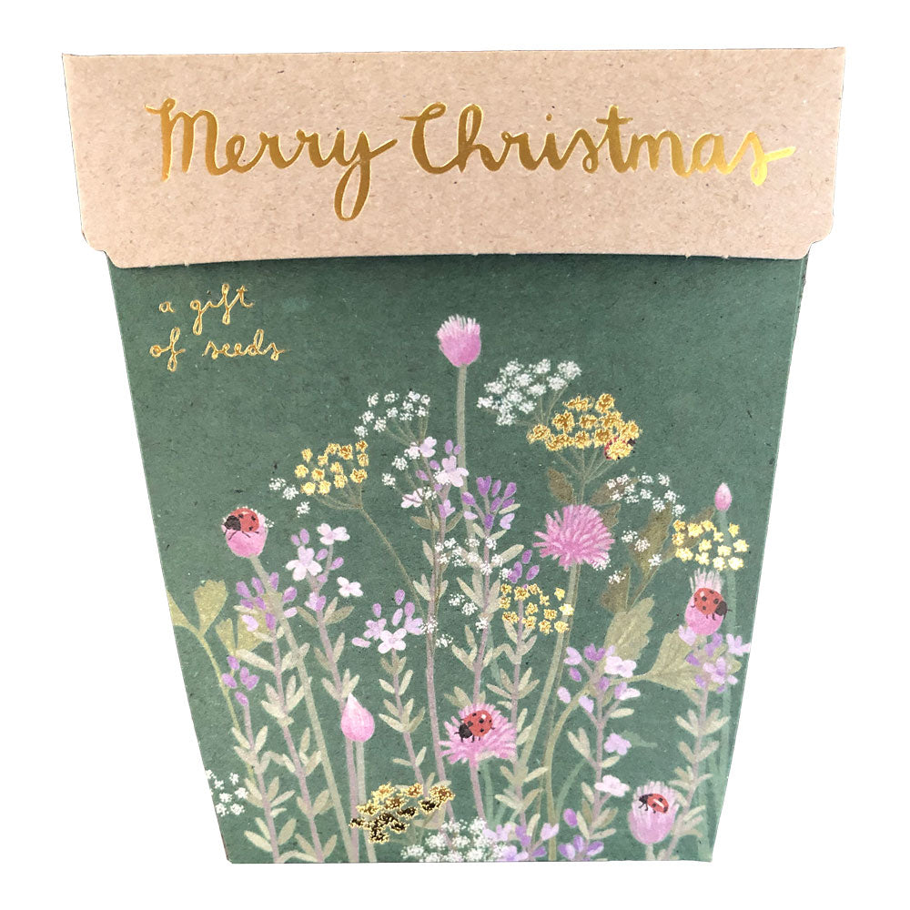 sow n sow christmas herbs gift of seeds front of card showing merry christmas and illustration of ladybugs and flowers growing