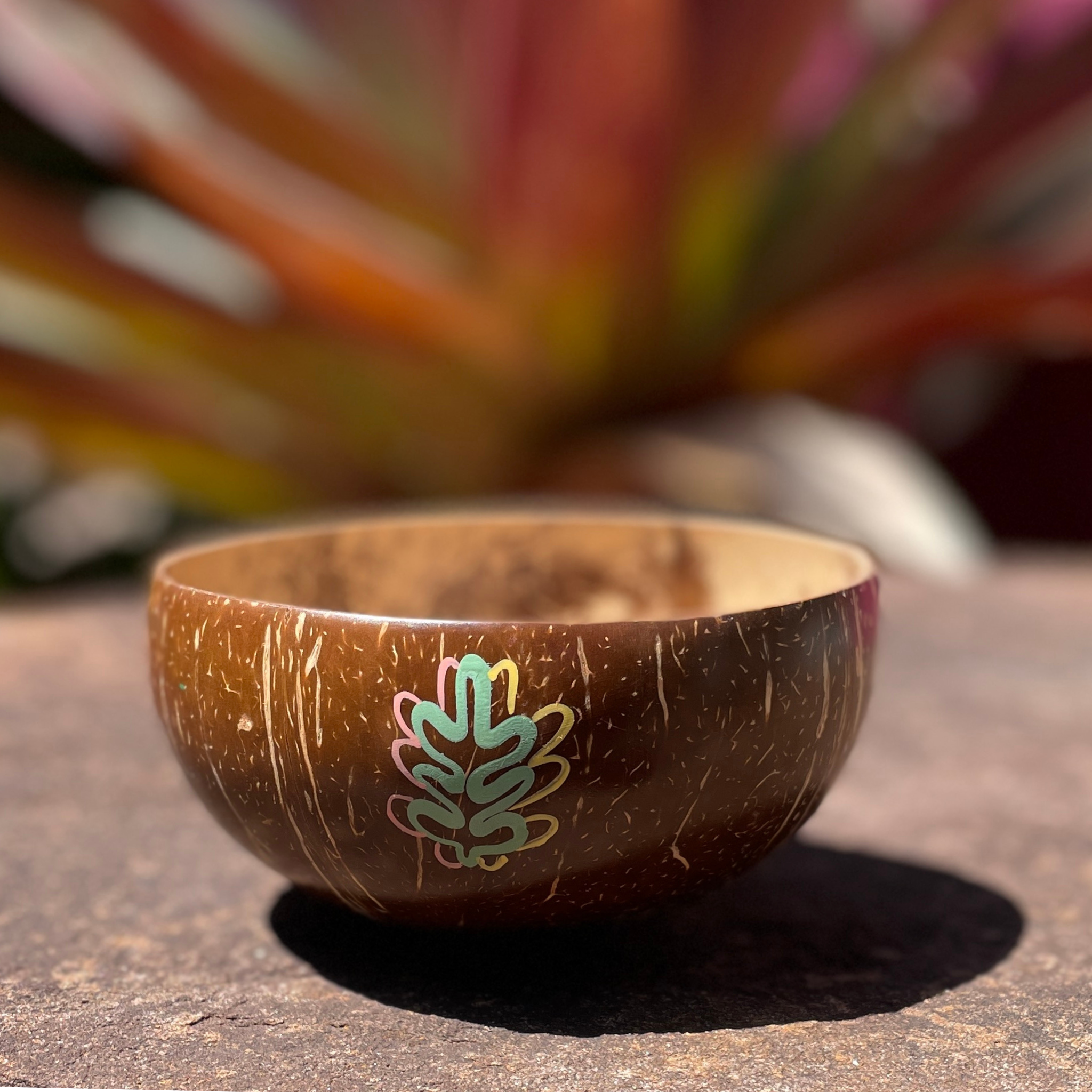 plastic free ethical coconut bowl with painted leaves