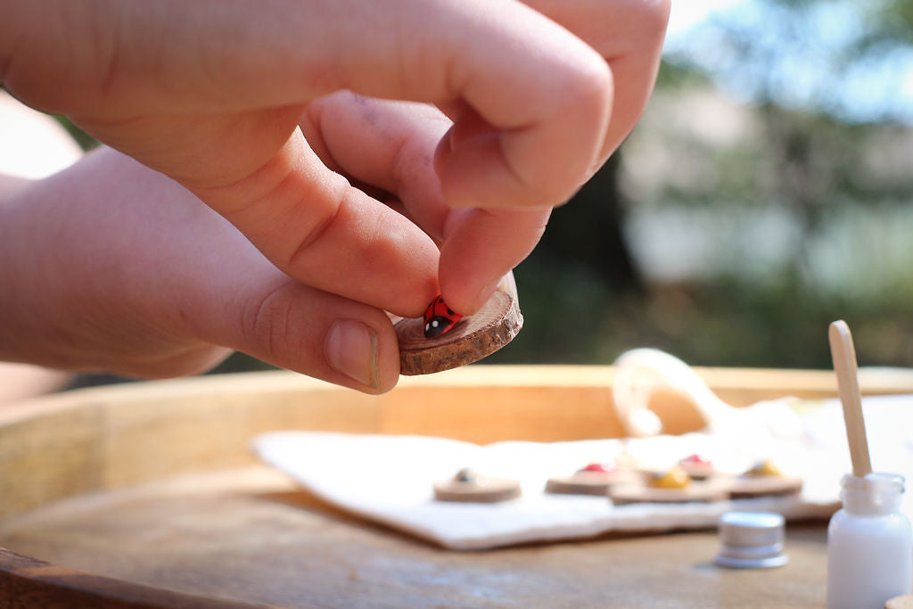 Child's hands placing ladybug onto wood chip