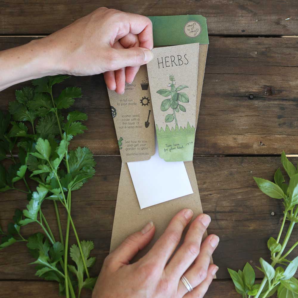 sow n sow gift of seeds trio of herbs basil parsley coriander back of card hand tearing away plant label