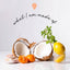 Coconuts, oranges, and a glass with lemon slices on a light background with text 'what I am made of'.