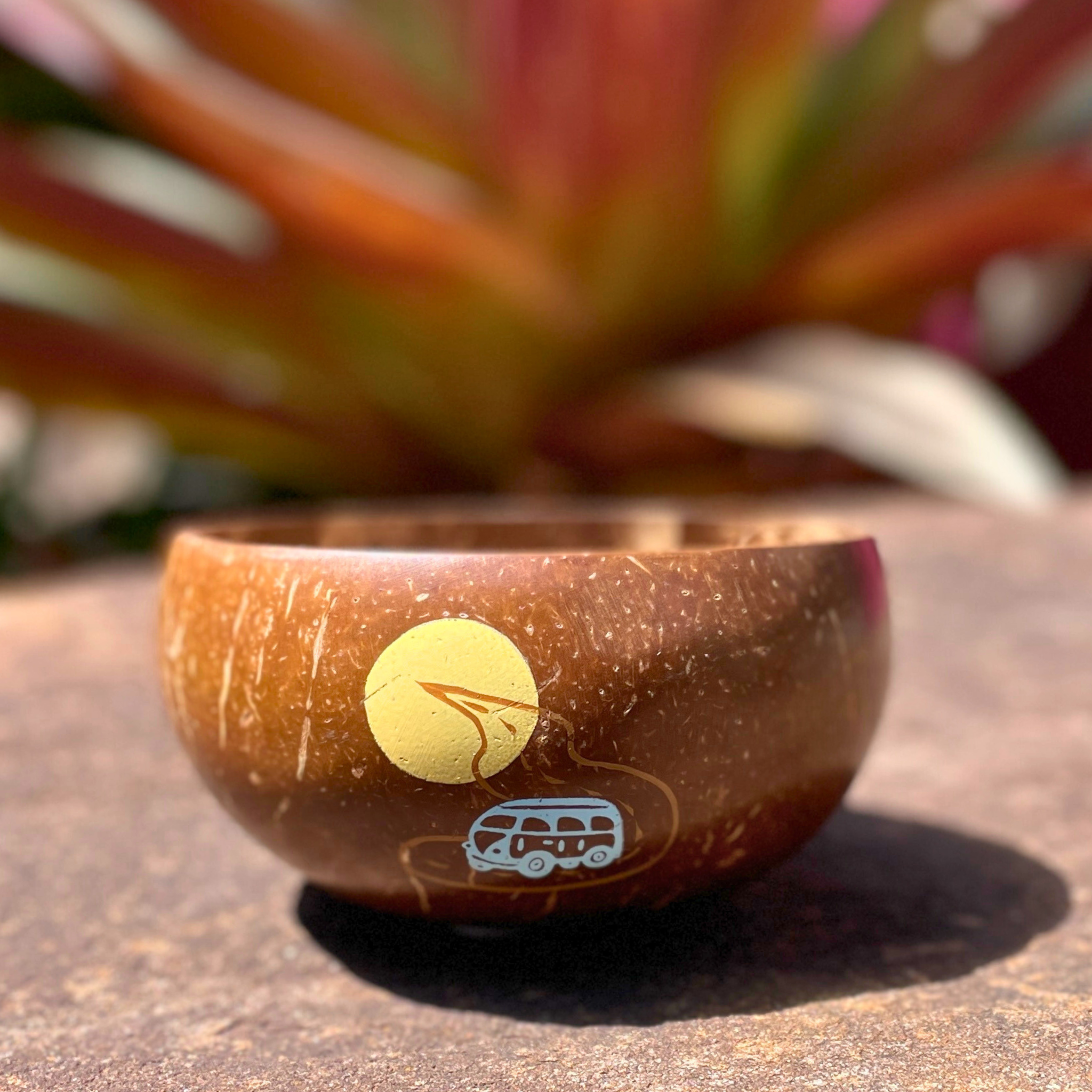 natural coconut bowl with paited combi car and sun