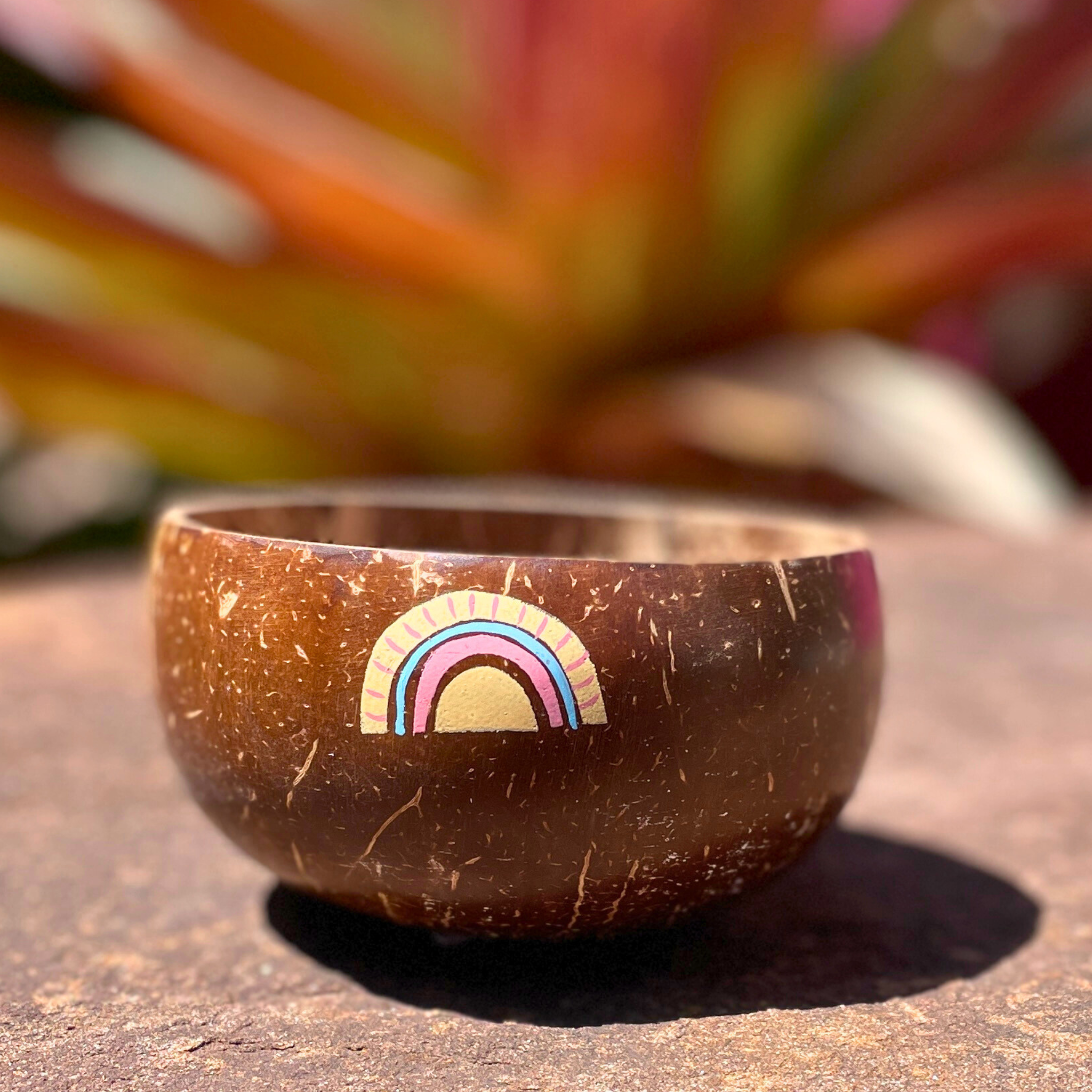 sustainable eco-friendly coconut bowl with painted rainbows