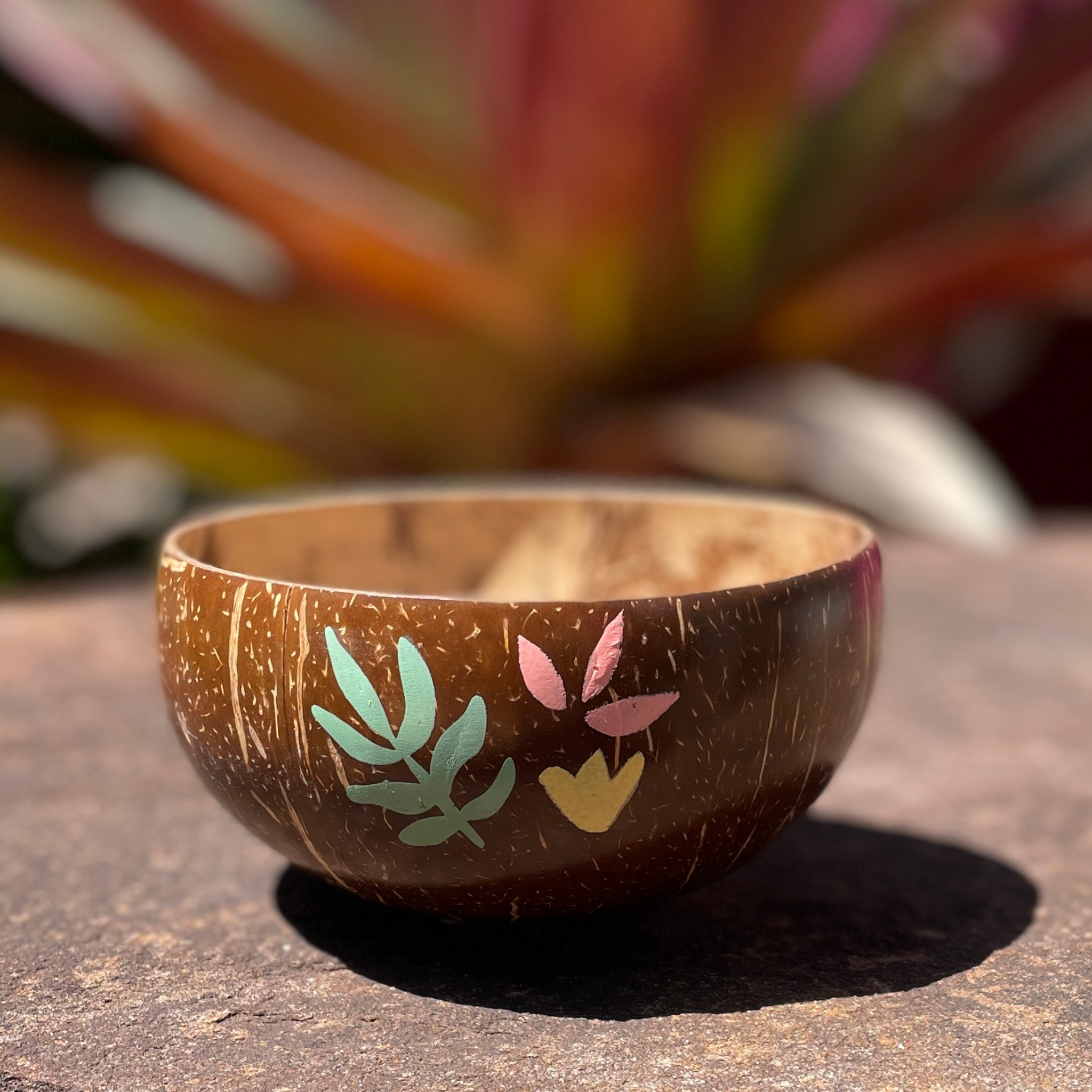 plastic free eco-friendly coconut bowl with painted leaves