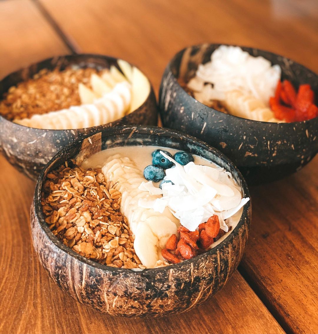plastic free eco-friendly coconut bowl with painted leaves with food