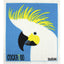 Retro Kitchen - Compostable Kitchen Sponge Cloth - Cockatoo