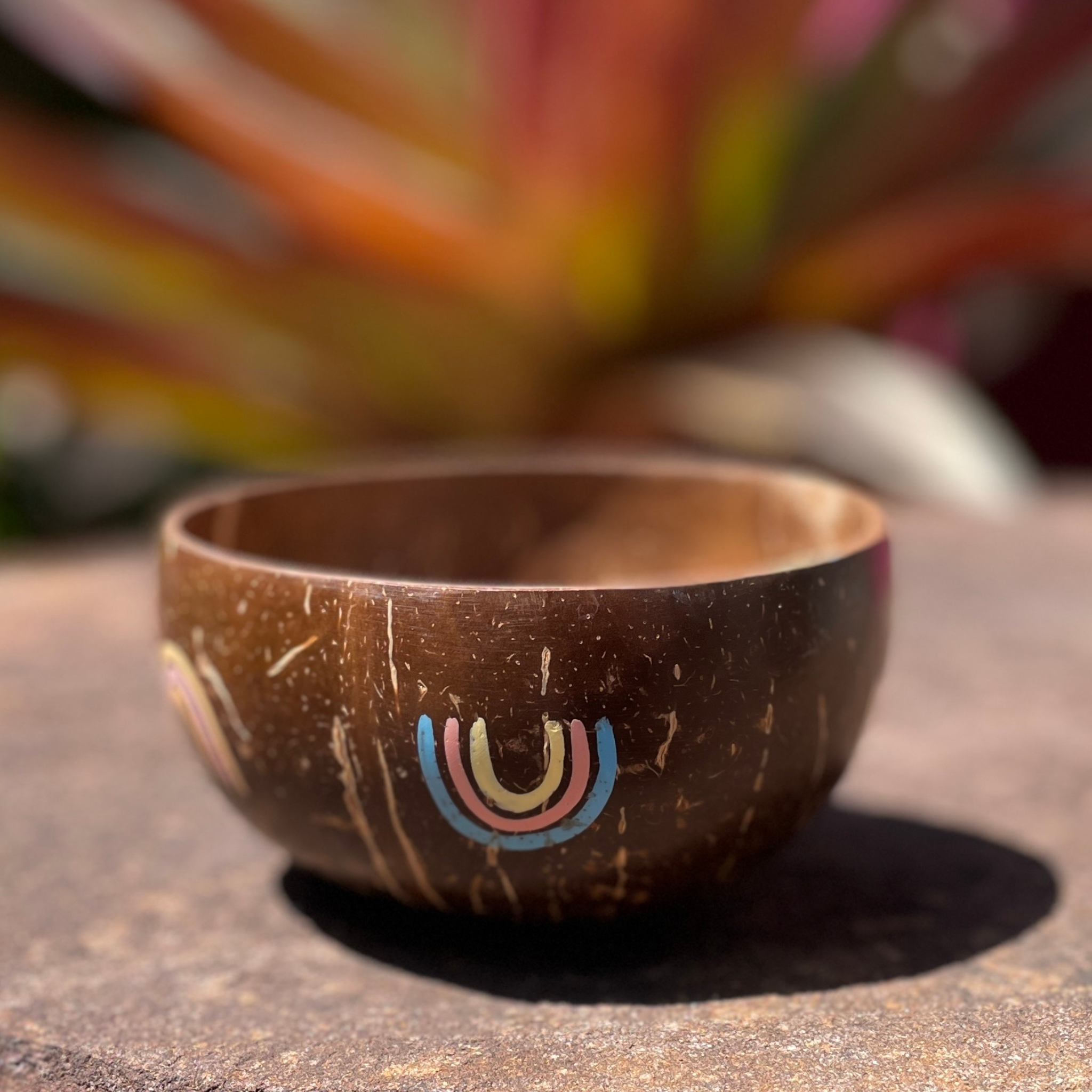 eco friendly natural coconut bowl with painted rainbow