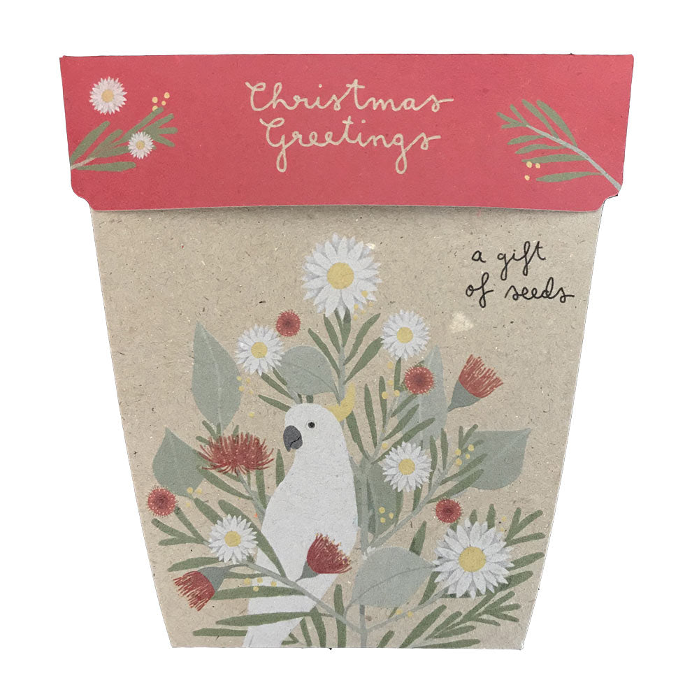 sow n sow australian christmas gift of seeds australian native everlasting daisies front of gift card showing illustration of cockatoo sitting in everlasting daisy plant 