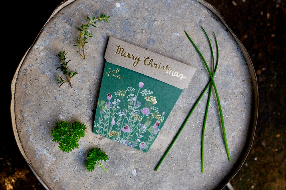 sow n sow christmas herbs gift of seeds eco-friendly christmas gift