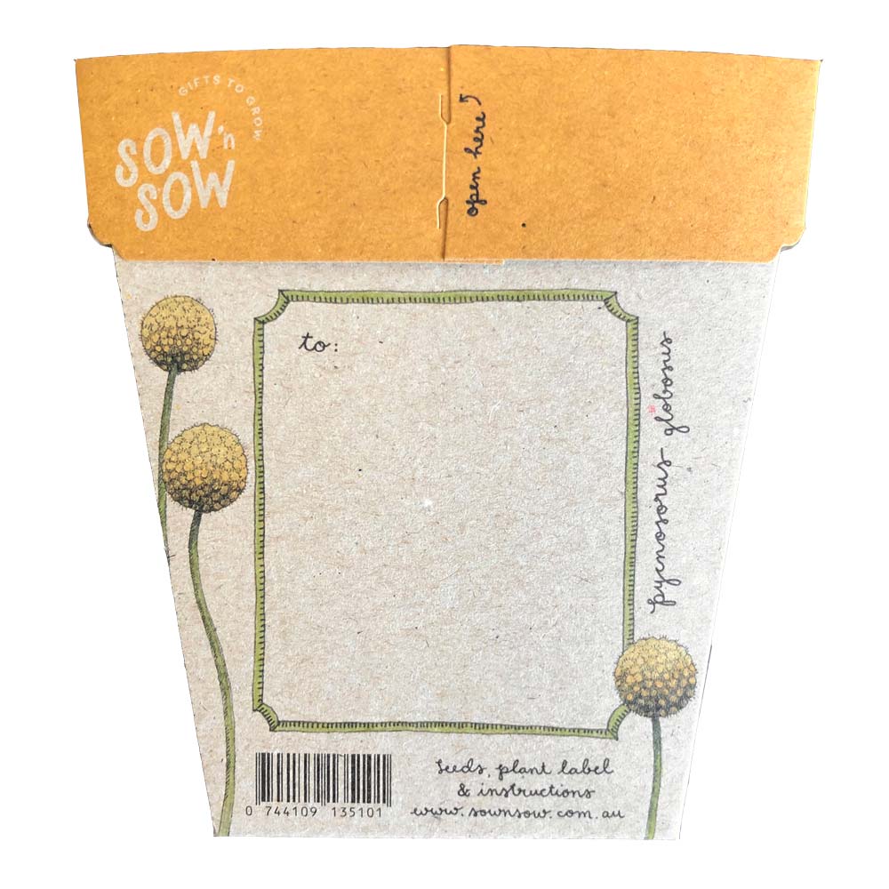 sow n sow gift of seeds australian native billy buttons back of card showing where to write your message