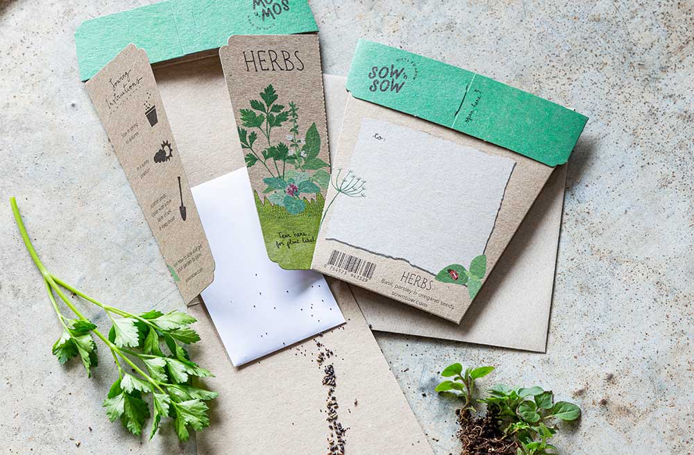 sow n sow gift of seeds garden herbs basil parsley oregano showing both sides of the card with scattered seeds and real herbs