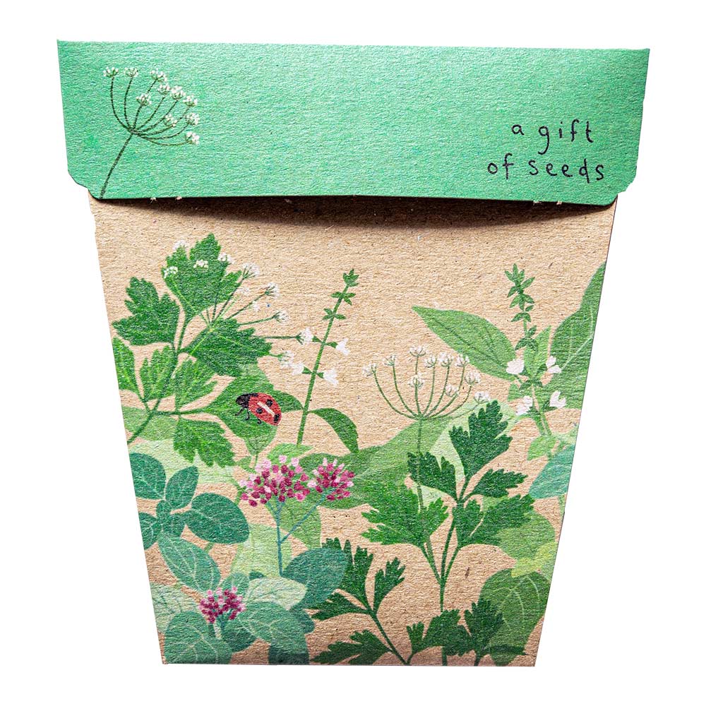 sow n sow gift of seeds garden herbs basil parsley oregano front of card showing illustration of herbs growing and ladybug