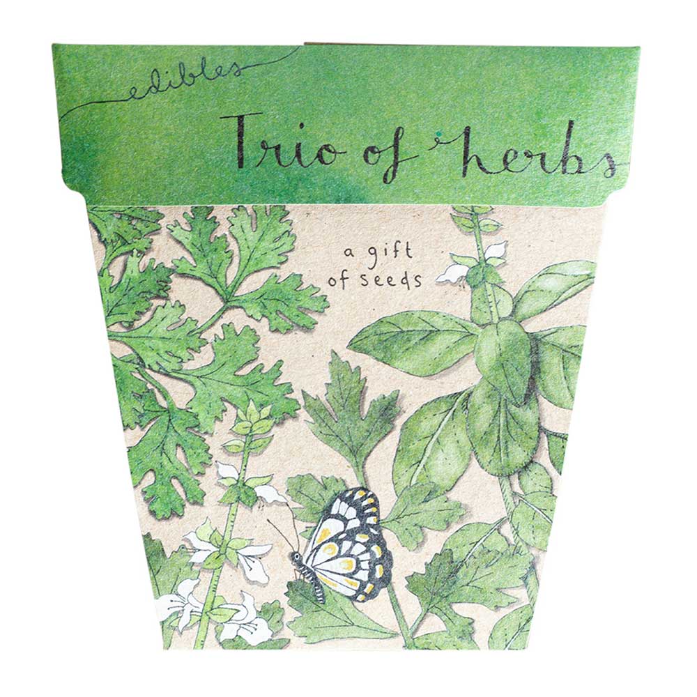 sow n sow gift of seeds trio of herbs basil parsley coriander front of card showing illustration of herbs and butterfly