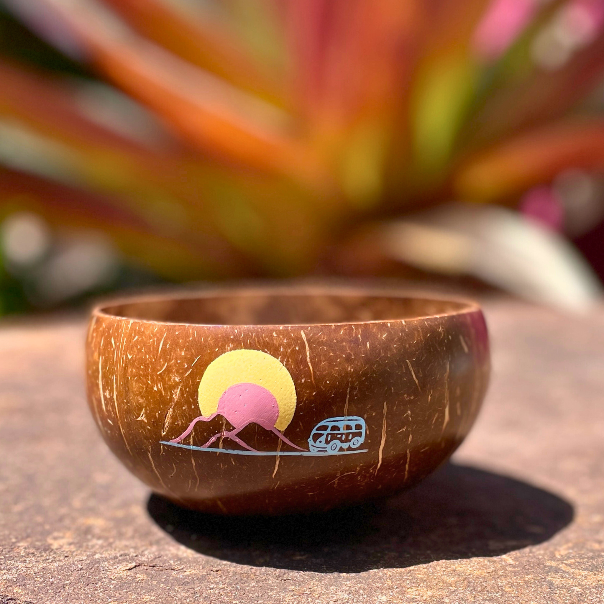 plastic free natural coconut bowl with painted combi and sun